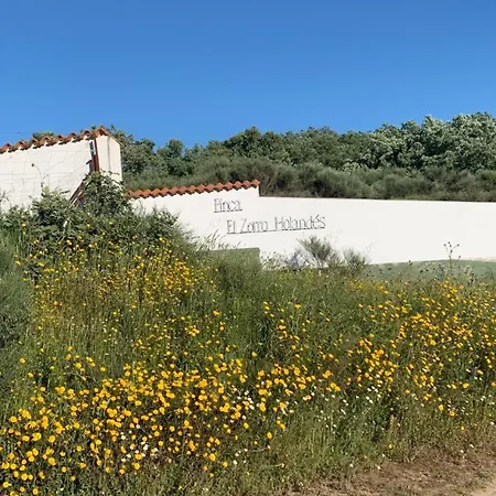 Daire Luxe Pipowagens Op El Zorro Holandes *